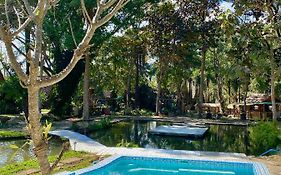 Shaya Resort